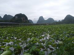 -星湖旅游景区七星岩