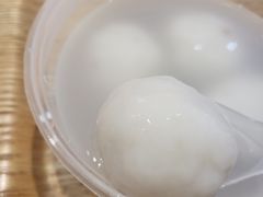 -海丝金凤(金鱼店)