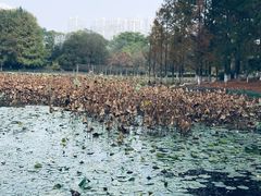 -白塘生态植物园
