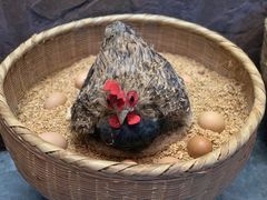 -井水小厨·湘菜(活力广场店)