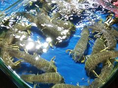 -黄沙水产交易市场