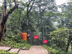 -西岭雪山大飞水景区