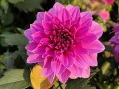 -中共上海市委党校 上海行政学院