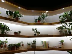-十二舍·湯物素煮(江泰潤政店)