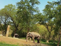 -北京野生动物园