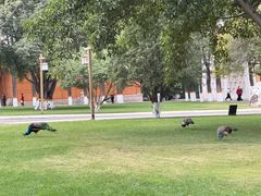 -西昌邛海宾馆