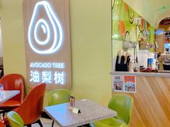 -油梨树AVOCADO TREE(嘉里中心店)