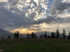 -德禄酸奶(莫家街店)