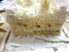 -BLACKSWAN黑天鹅(环球店)