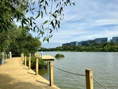 -华侨城湿地公园