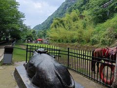 -仙岛湖旅游风景区