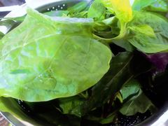 -黔府豆米火锅野菜馆(南马店)