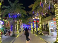 -三亚海昌梦幻海洋不夜城