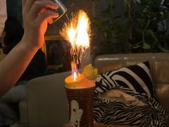 -咖法森林·咖啡  酒吧(天河店)