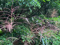 -三门江国家森林公园