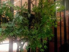 -贝勒爷·酥不腻烤鸭