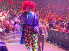 -珠海横琴长隆《卡卡虎奇遇记》