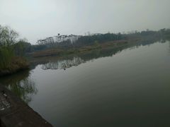 -白鹭湾湿地公园