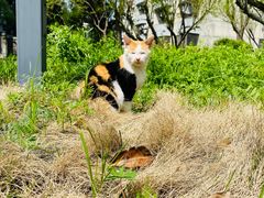 -河海大学(常州校区)