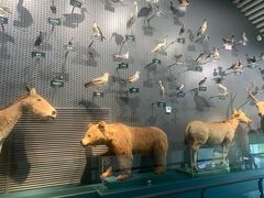 -中国湿地博物馆