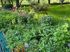 -国家植物园南园