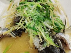 姜葱蒸水库瘦身鲩鱼-粤·向群饭店(龙津东路总店)