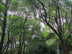 -杭州半山国家森林公园