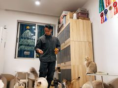 -有喵·猫咖·狗咖·30几只猫10只小狗(岗厦店)