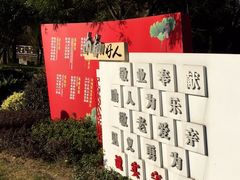 -南翔镇银翔湖公园