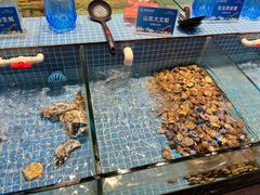 水产区-小天鹅戴斯酒店鲸鲨百汇创作料理
