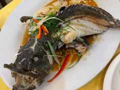 清蒸龙胆石斑-莲花公园煎蟹(总店)