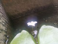 -三只耳火锅(宽窄巷子店)