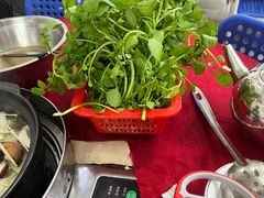 -花苑美食横琴生蚝火锅(拱北粤华路店)