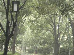 -迎泽公园