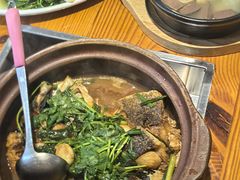 -九道菜有鸡鱼头(石鼓路店)