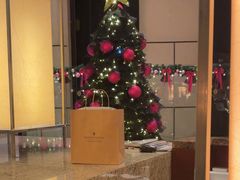 -上海锦江汤臣洲际大酒店壹阶层