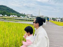 -艾米稻香小镇