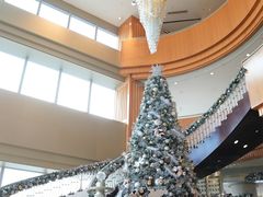 -上海明天广场JW万豪酒店