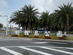 -野狸岛