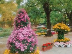 -上海共青森林公园