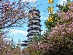 -重庆园博园