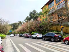 -铁山坪森林公园