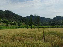 -东钱湖旅游度假区