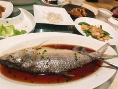 -喜来登由由大酒店九州膳坊中餐厅