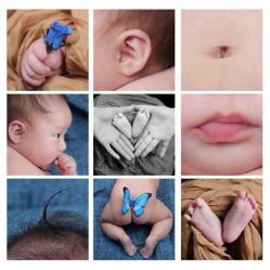 android_upload_pic-爱你宝贝专业儿童摄影潮童馆(乾宁北大街店)