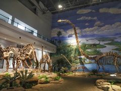 -自贡恐龙博物馆