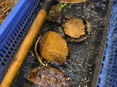 -吴记富苑(朝阳店)