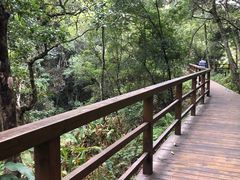 -梧桐山风景名胜区