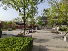 -莲花池公园
