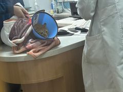 -联合动物医院(光谷诊疗中心)